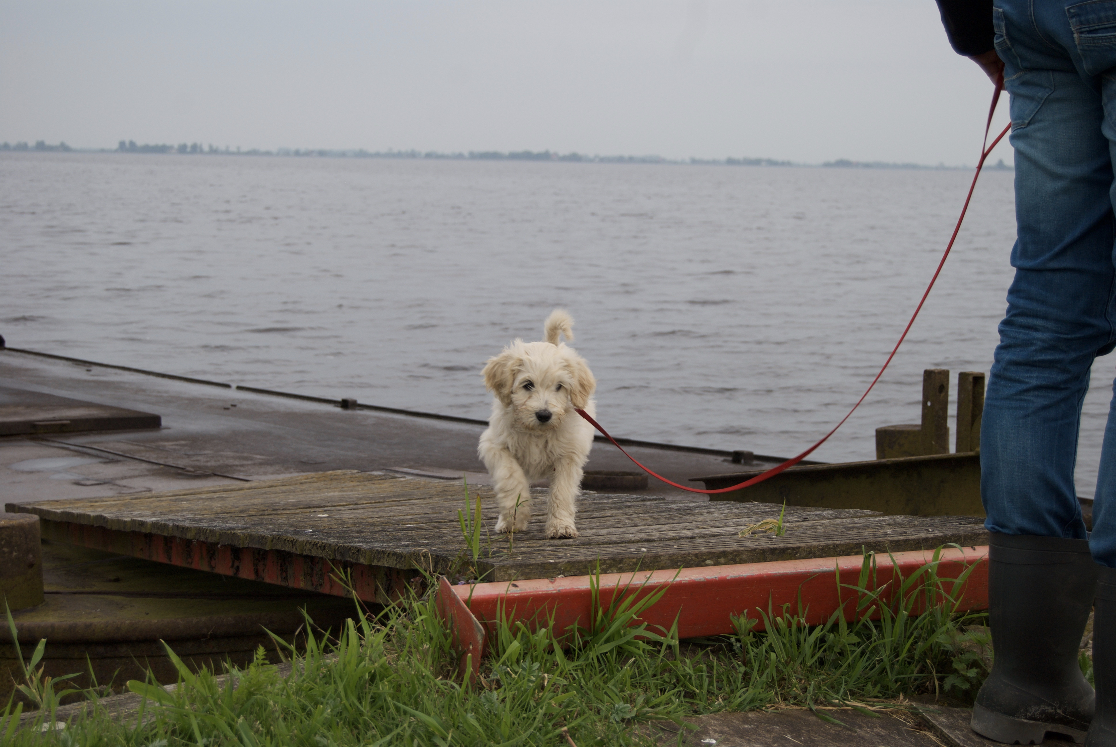 Snuffel-Marieke-2-1