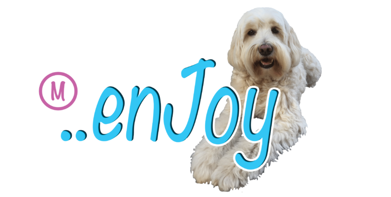 enJoy-logo-achter-768x388